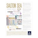 Salton Sea.