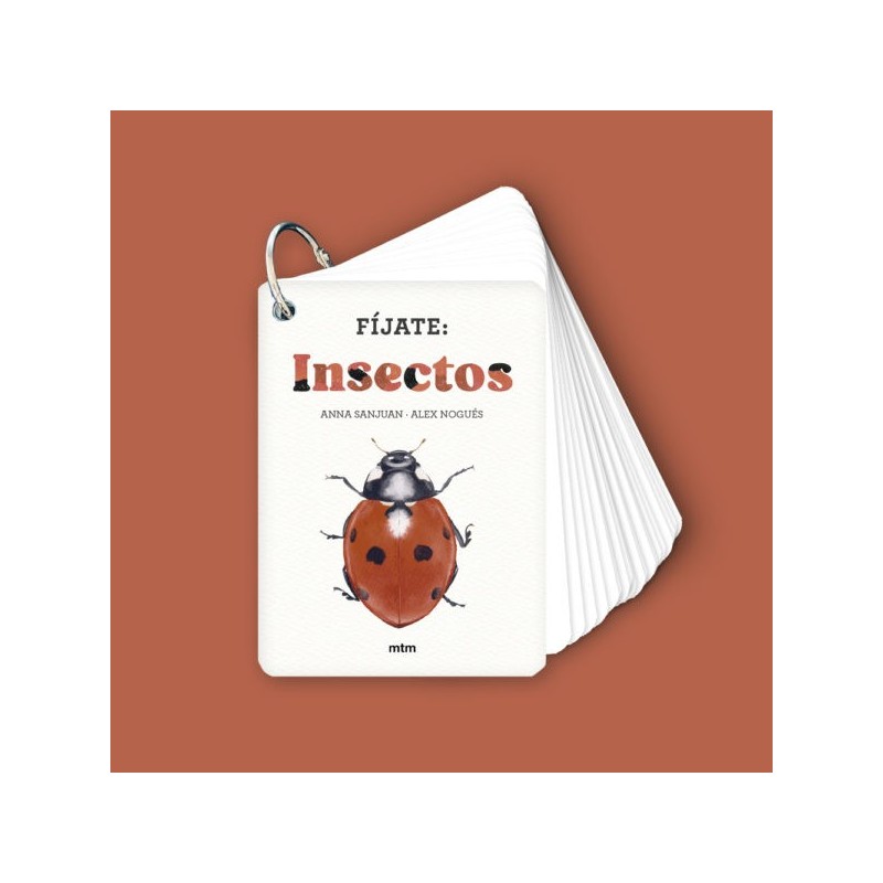 Fíjate: Insectos.