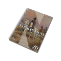 Battles of Napoleonic Europe: A Solitaire Wargame.