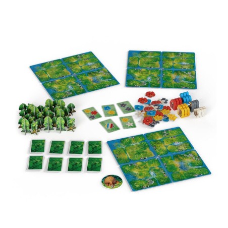 HUTAN: Life in the Rainforest.