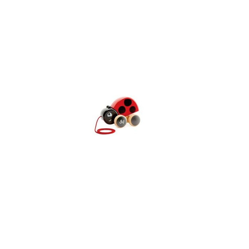 Ladybug pull along. Ladybug pull along.