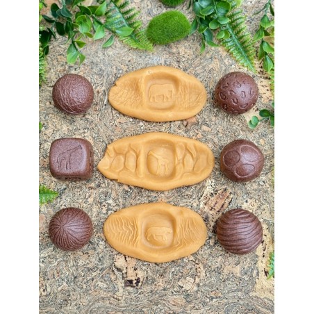 Roll Around – Wild Animals.