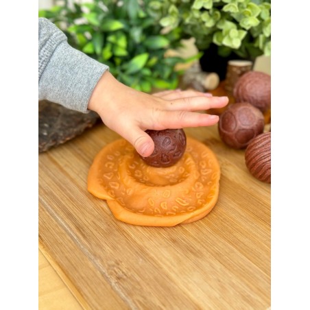 Roll Around – Wild Animals.