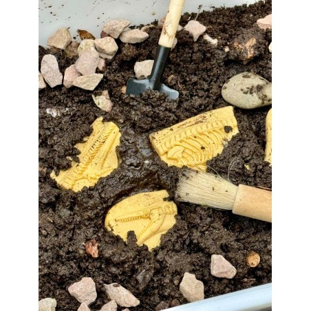 Dig and Discover – Pliosaur & Stegosaurus.