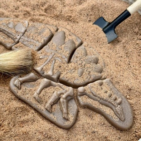 Excava y descubre: pliosaurio y estegosaurio.