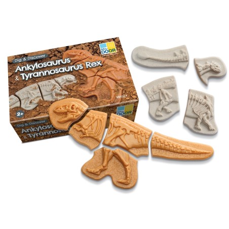 Dig and Discover – Ankylosaurus & Tyrannosaurus rex.
