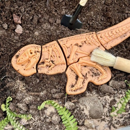 Dig and Discover – Ankylosaurus & Tyrannosaurus rex.