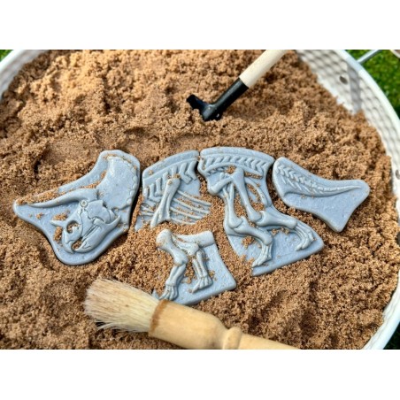 Dig and Discover – Triceratops & Spinosaurus.