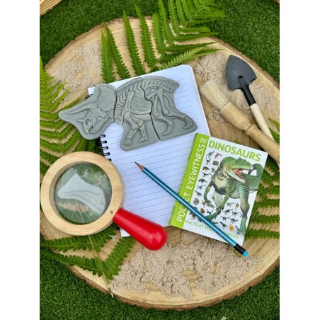 Dig and Discover – Triceratops & Spinosaurus.