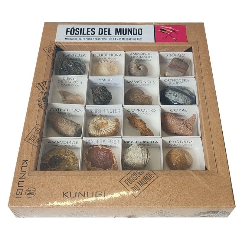 Fossils of the world.