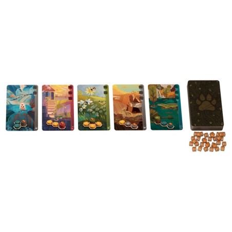 Imagen de los componentes del juego de mesa Harmonies