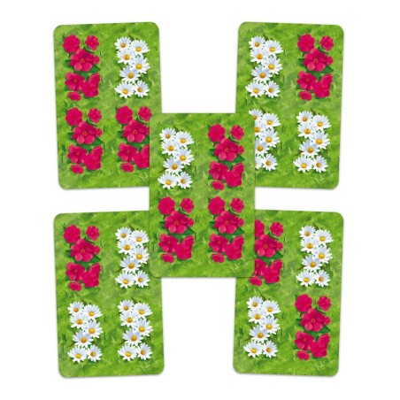 Image of the components of the abstract card game Spring.