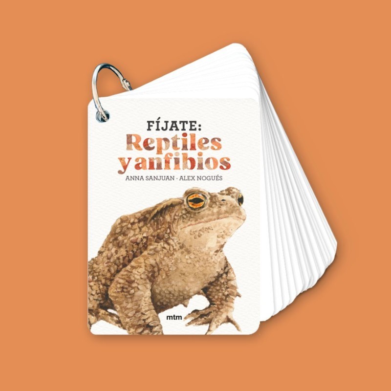 Fíjate: Reptiles y anfibios.