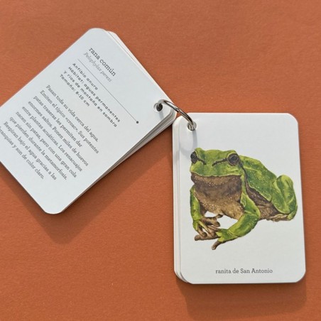Fíjate: Reptiles y anfibios.