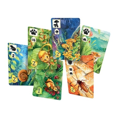 Meadow board game nature card collection strategy