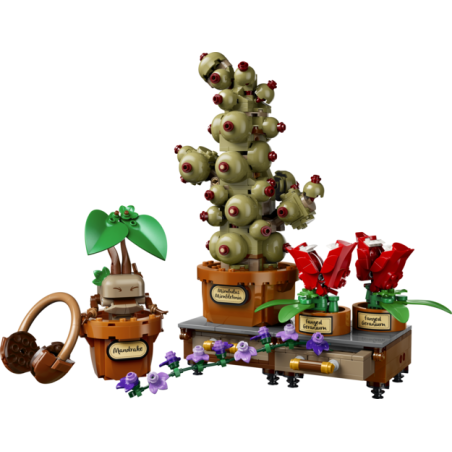 Hogwarts: Plantas de Herbol.