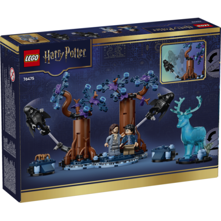Forbidden Forest: Expecto Patronum.