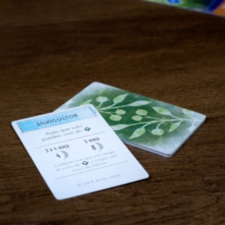 Components of the Wingspan engine building board game by Maldito Games.