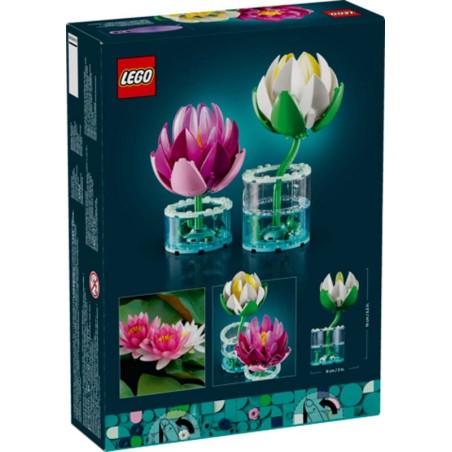 Water lillies.