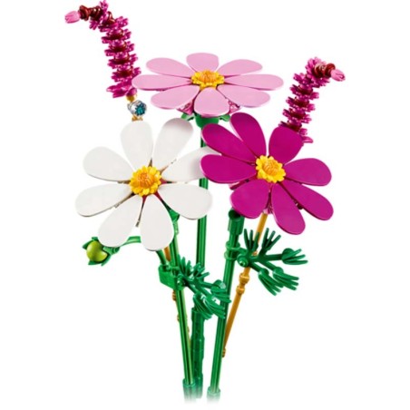 Flores de Cosmos.