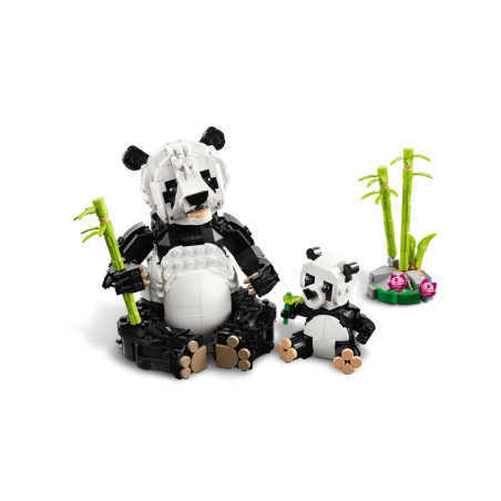 Fauna Salvaje: Familia de Pandas.