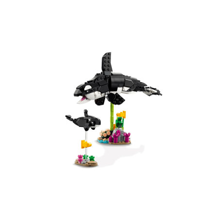 Fauna Salvaje: Familia de Pandas.