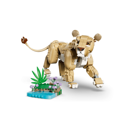Wild Animals: Majestic Lion.
