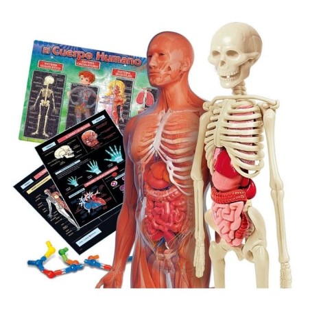 Anatomy Laboratory.