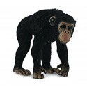 Chimpanzee female. COLLECTA 88493