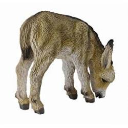 Burro pastando. COLLECTA 88408