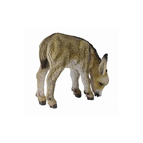 Donkey foal grazing. COLLECTA 88408