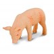 Piglet feeding. COLLECTA 88436