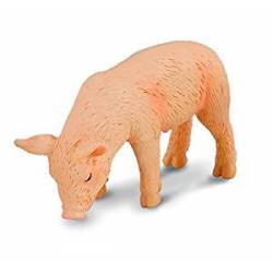 Cerdito comiendo. COLLECTA 88436