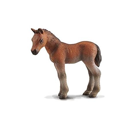 Thoroughbred foal. COLLECTA 88244