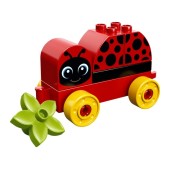 My First Ladybug.