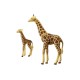 Giraffe with Calf.