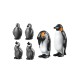 Penguin family.