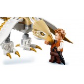 Newt's Case of Magical Creatures.