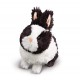 My Nici pets: rabbit.