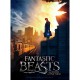 Fantastic Beasts: NY City.