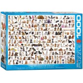 Historia de Trenes. 1000 piezas.