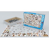 Historia de Trenes. 1000 piezas.