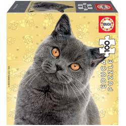 Cats: European shorthair. 100 pcs.