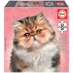 Cats: Persian. 100 pcs.