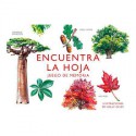 Encuentra la hoja.