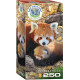 Save the planet! Red Pandas. 250 pcs.