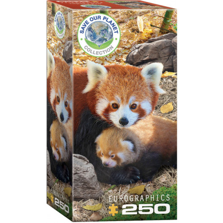 Save the planet! Red Pandas. 250 pcs.