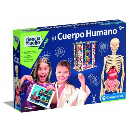 El cuerpo humano.