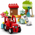 Tractor and farm animals.