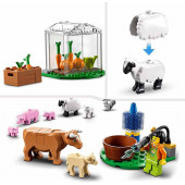 Barn and Farm Animals.
